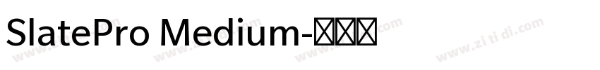 SlatePro Medium字体转换